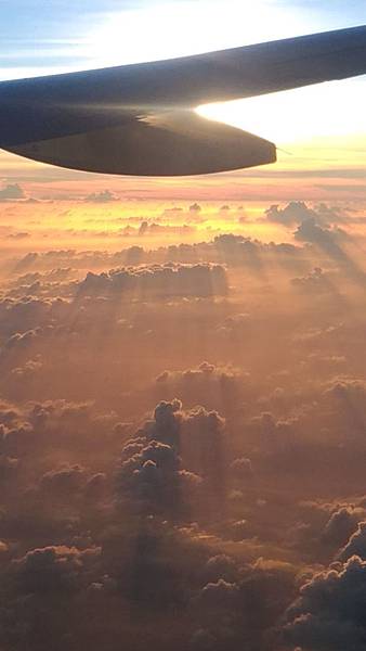 P_20180813_190634_vHDR_Auto_compressed P_20180813_190634_vHDR_Auto_compressed