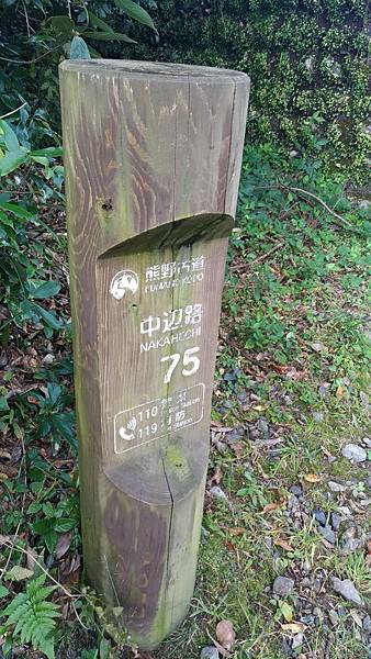 P_20181104_100526_vHDR_On_compressed P_20181104_100526_vHDR_On_compressed