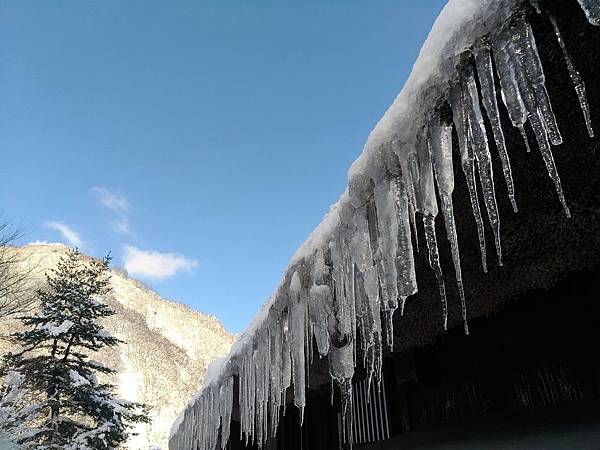 P_20190101_102006_vHDR_Auto_compressed P_20190101_102006_vHDR_Auto_compressed