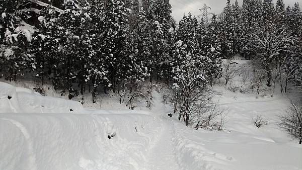 P_20190101_112104_vHDR_Auto_compressed P_20190101_112104_vHDR_Auto_compressed