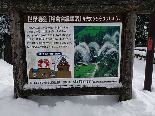 P_20190101_120647_compressed P_20190101_120647_compressed