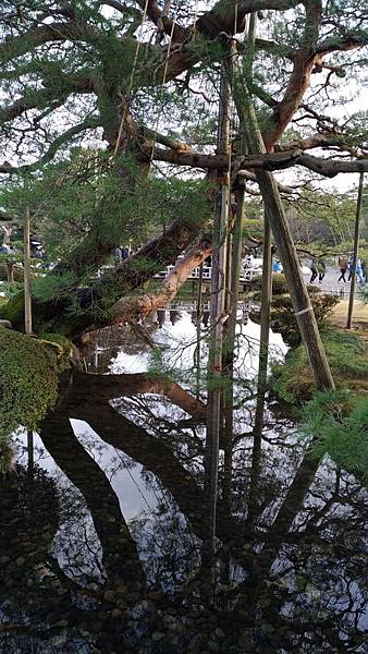 P_20190102_153115_compressed P_20190102_153115_compressed