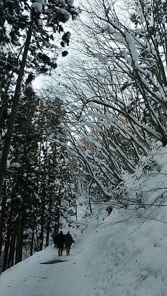 P_20190104_095527_vHDR_On_compressed P_20190104_095527_vHDR_On_compressed