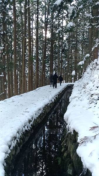 P_20190104_095942_vHDR_On_compressed P_20190104_095942_vHDR_On_compressed