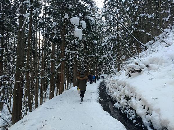 P_20190104_100807_vHDR_On_compressed P_20190104_100807_vHDR_On_compressed