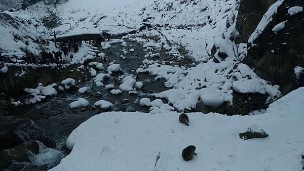 P_20190104_102638_vHDR_On_compressed P_20190104_102638_vHDR_On_compressed