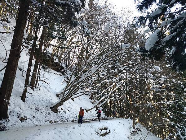 P_20190104_110722_vHDR_On_compressed P_20190104_110722_vHDR_On_compressed