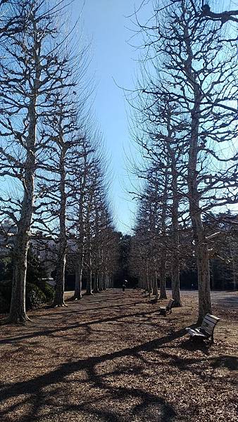 P_20190105_103422_vHDR_On_compressed P_20190105_103422_vHDR_On_compressed