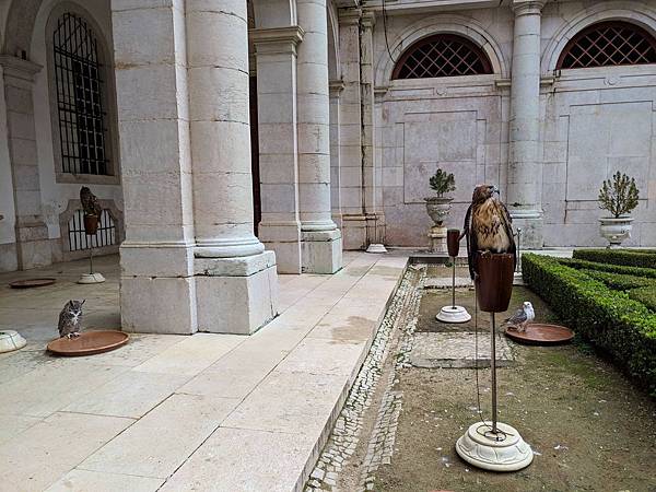 IMG_20190207_103500_compressed IMG_20190207_103500_compressed