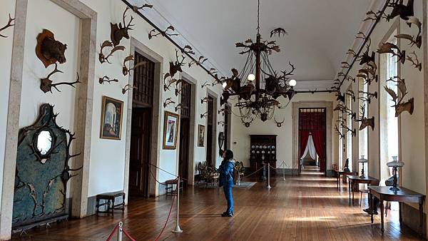 IMG_20190207_110812_compressed IMG_20190207_110812_compressed