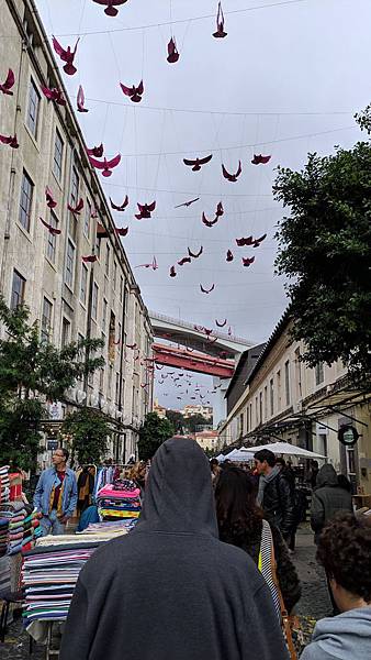 IMG_20190210_130739_compressed IMG_20190210_130739_compressed