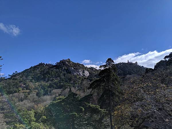 IMG_20190208_130146_compressed IMG_20190208_130146_compressed