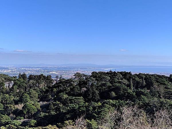 IMG_20190208_153044_compressed IMG_20190208_153044_compressed