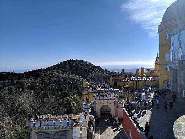 IMG_20190208_153011_compressed IMG_20190208_153011_compressed