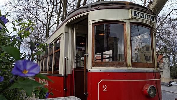 IMG_20190209_155029_compressed IMG_20190209_155029_compressed