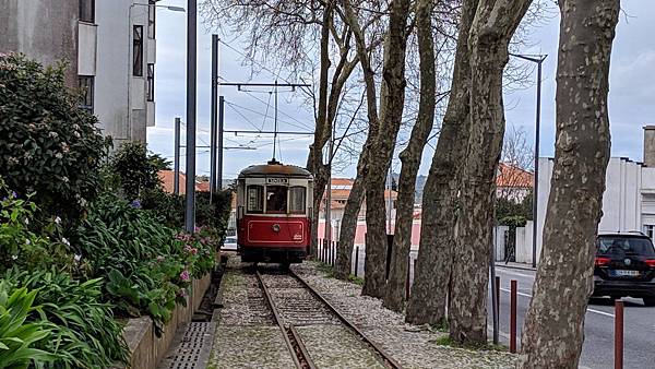 IMG_20190209_155106_compressed IMG_20190209_155106_compressed