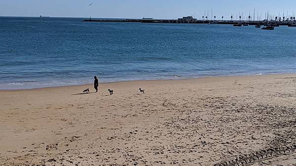 IMG_20190211_150347_compressed IMG_20190211_150347_compressed