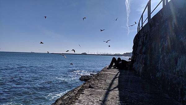 IMG_20190211_151901_compressed IMG_20190211_151901_compressed