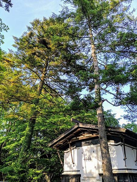IMG_20190803_163121_compressed IMG_20190803_163121_compressed