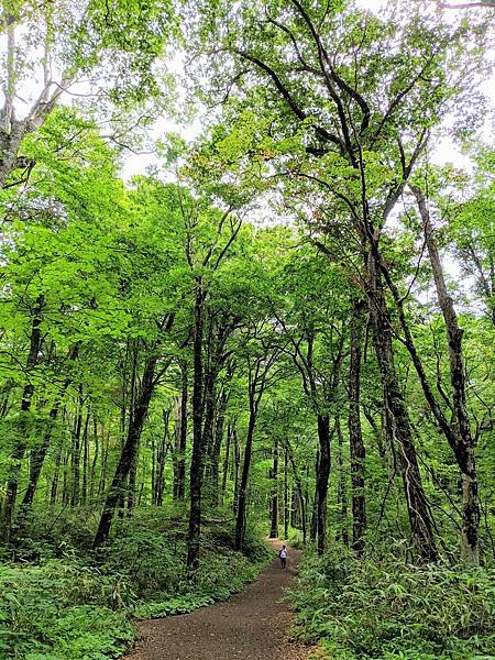 IMG_20190804_112504_compressed IMG_20190804_112504_compressed