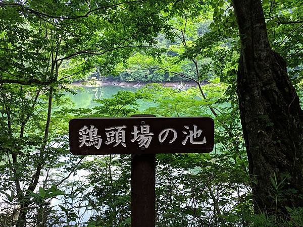 IMG_20190804_120350_compressed IMG_20190804_120350_compressed