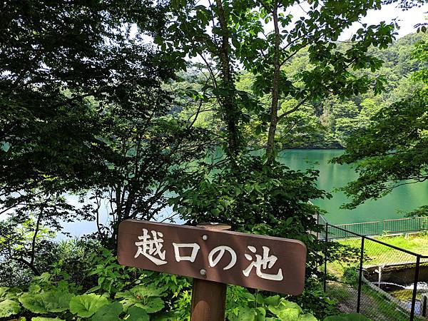 IMG_20190804_124650_compressed IMG_20190804_124650_compressed