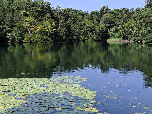 IMG_20190804_131830_compressed IMG_20190804_131830_compressed