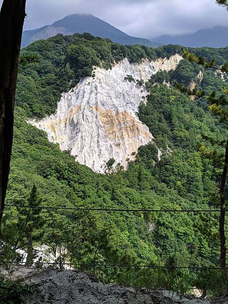 IMG_20190804_133338_compressed IMG_20190804_133338_compressed