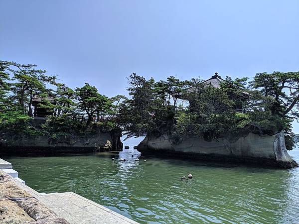 IMG_20190806_102255_compressed IMG_20190806_102255_compressed