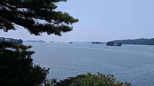 IMG_20190806_103044_compressed IMG_20190806_103044_compressed