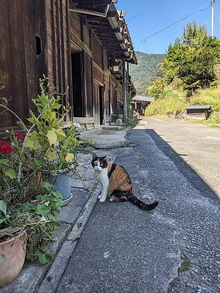 體驗江戶時期中山道，從妻籠走到馬籠