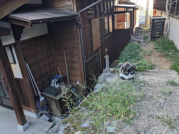 體驗江戶時期中山道，從妻籠走到馬籠