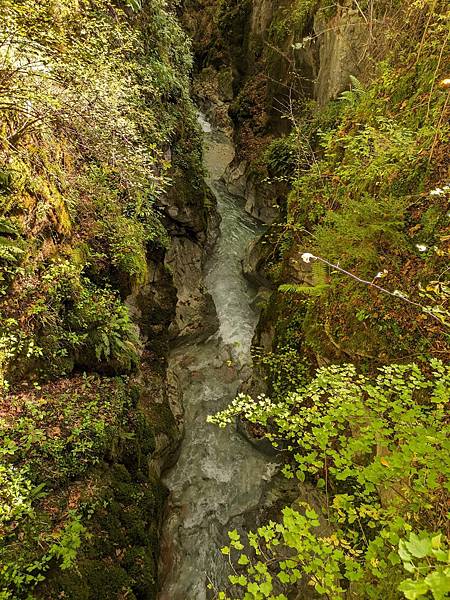 德國南部風光之旅--Day1 藍紹教堂、魔法森林、辛特湖半日