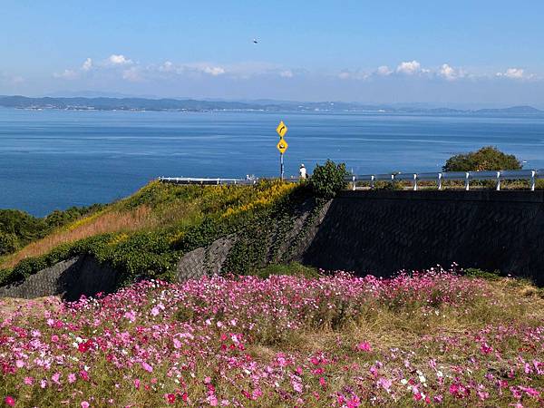 日本四國-豐島半日遊(豐島美術館)