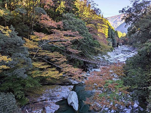 日本四國-祖谷蔓橋+大步危遊船+大小步危步道