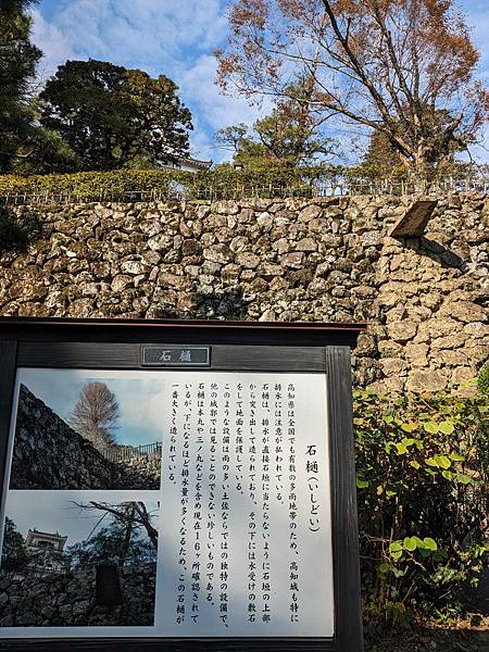 日本四國-高知城及高知美食