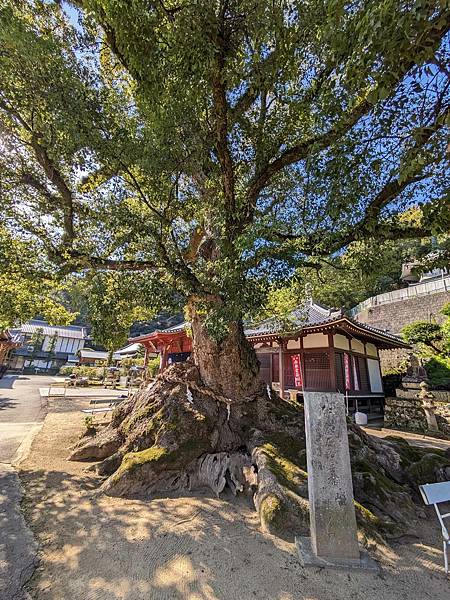 日本四國-觀音寺市周邊景點(錢型沙繪+高屋神社天空鳥居+父母