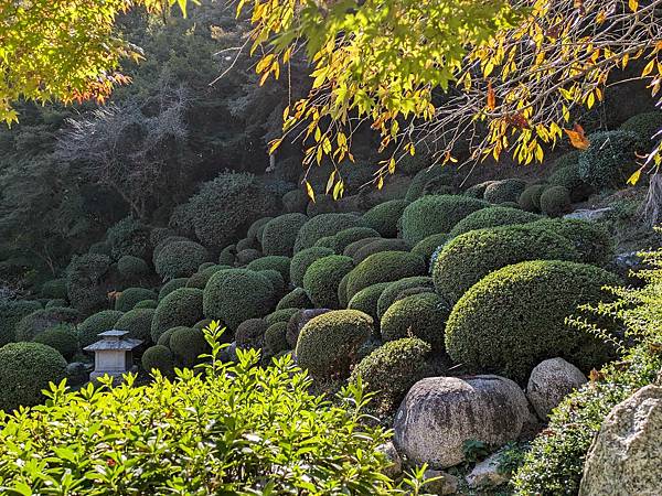 日本四國-觀音寺市周邊景點(錢型沙繪+高屋神社天空鳥居+父母