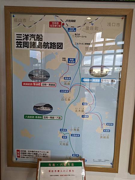 日本貓島之岡山真鍋島