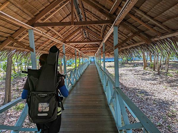 馬來西亞京那巴魯山(神山).亞庇-DAY4 美人魚島浮潛+紅
