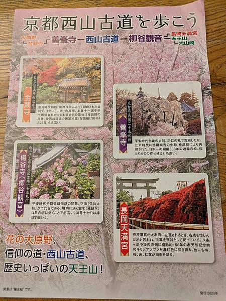 日本關西-京都西山古道迷航記+柳谷觀音+大山崎美術館