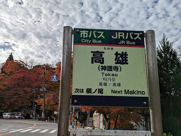 日本關西-京都高雄神護寺+北山杉+慧光寺銀杏樹