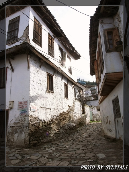 SIRINCE03.jpg SIRINCE03.jpg
