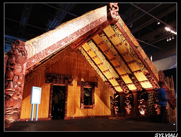 WELLINGTON-TE PAPA.jpg WELLINGTON-TE PAPA.jpg