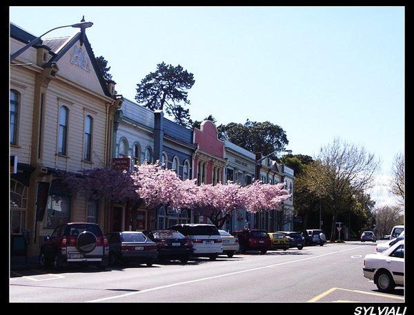 WHANGANUI.jpg WHANGANUI.jpg