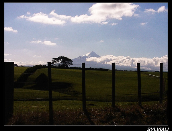 MT. EGMONT01.jpg MT. EGMONT01.jpg