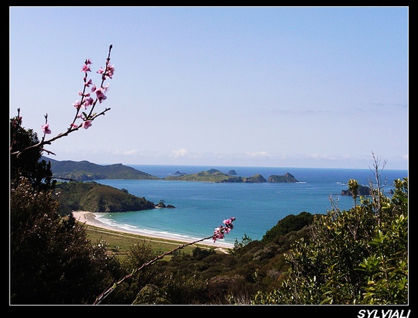 Matauri Bay01.jpg Matauri Bay01.jpg