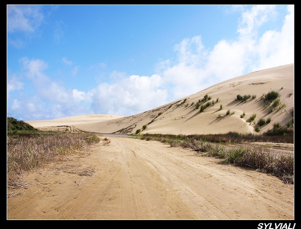 SAND BOARDING04.jpg SAND BOARDING04.jpg