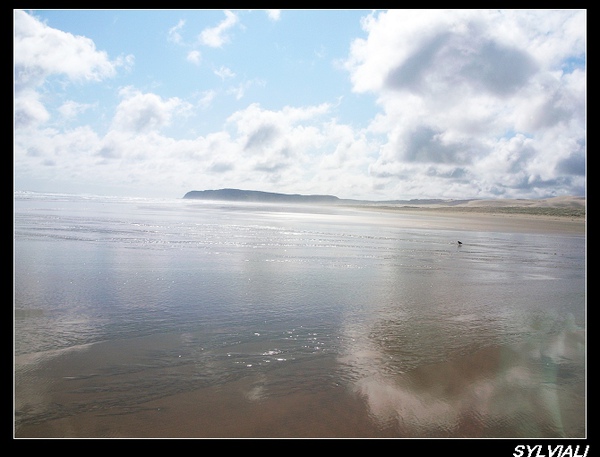 90 miles beach01.jpg 90 miles beach01.jpg