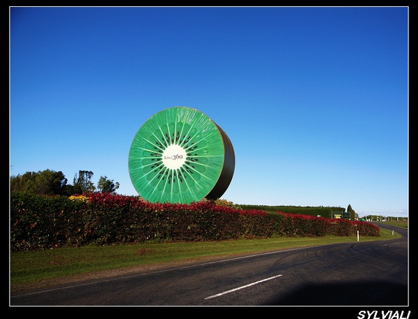 kiwi360.jpg kiwi360.jpg